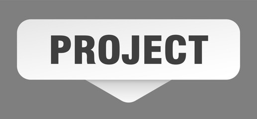 project sticker. project sign isolated on gray background