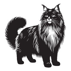 Graceful Norwegian Forest Cat silhouette, a vision of feline beauty - Norwegian Forest Cat illustration - Norwegian Forest Cat vector - cat silhouette

