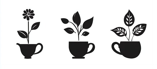 Floral Growth in Cups: A Trio of Botanical Illustrations