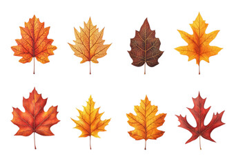 Obraz premium isolated transparent Background. Beautifully detailed maple and oak leaves in vibrant autumn colors evoke sense of nature beauty