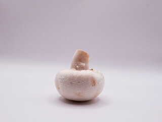 White mushroom, champignon, on a white background, front view, close-up