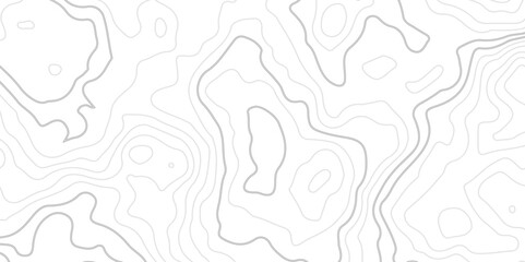 
The stylized height of the topographic map in contour, lines. creative cartography.Black and white landscape geographic pattern.Topography and geography map grid abstract backdrop.