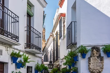 Fotobehang Smalle Straten Traditional whitewashed houses with flower pots adorning the narrow streets of cordoba, andalusia, spain  © tanaonte