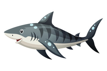 Obraz premium shark isolated on white