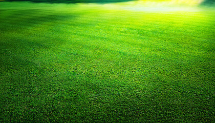 Naklejka premium green grass background, a vibrant green golf course with soft sunlight and shadows creating a tranquil and natural scene