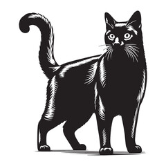 Obraz premium Mysterious Russian Blue silhouette, capturing its enigmatic personality - Russian Blue illustration - Russian Blue vector - cat silhouette