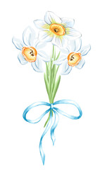 Bouquet of narcissus flowers. Watercolor illustration