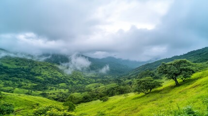 Obraz premium Panoramic Mountain Valley: An expansive view of a lush, green valley nestled between rolling hills, blanketed by a moody sky filled with low-hanging clouds.