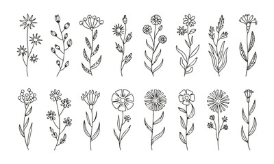 Modern vector illustration featuring a collection of hand-drawn botanical doodles, easily editable.