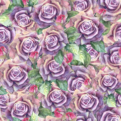 Seamless pattern of purple roses leaves and buds