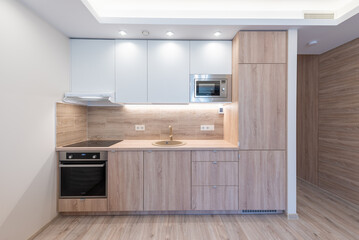 Modern Kitchen Interior With Wooden Cabinets and Contemporary Appliances in Small Space. Compact...