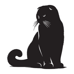 Sleek Scottish Fold silhouette, emphasizing its compact and sturdy body - Scottish Fold illustration - Scottish Fold vector - cat silhouette


