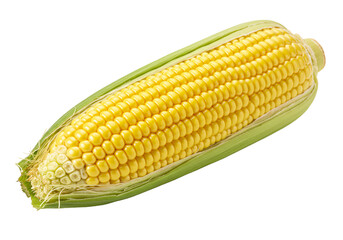 Corn isolated on white background