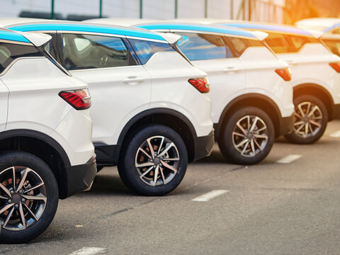 Fototapeta Parked cars in an organized row on paved road. White SUV cars fleet, stocks at dealership parking lot. Modern automobile designs, rental vehicle options, and the urban transportation system