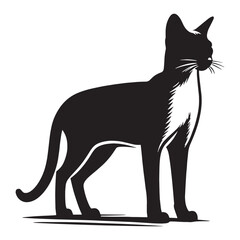 Dignified Siamese silhouette, an artistic nod to this ancient feline breed - Siamese illustration - Siamese vector - cat silhouette

