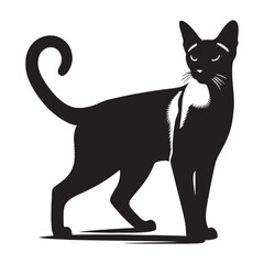 Mysterious Siamese silhouette, reflecting its deep blue eyes and enigmatic gaze - Siamese illustration - Siamese vector - cat silhouette


