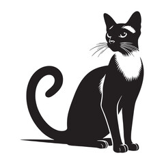 Graceful Siamese silhouette, embodying the breed's refined and agile stance - Siamese illustration - Siamese vector - cat silhouette

