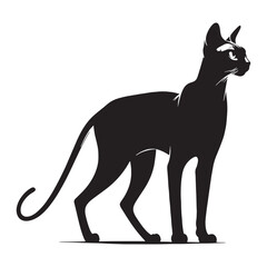 Curious Singapura silhouette, embodying its inquisitive and playful nature - Singapura illustration - Singapura vector - cat silhouette

