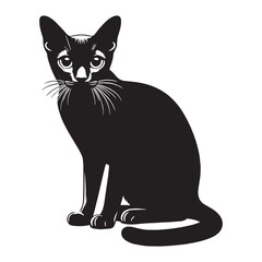 Playful Singapura silhouette, capturing the breed's lively and curious nature - Singapura illustration - Singapura vector - cat silhouette

