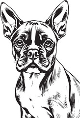 Boxer puppy. Hand drawn vector illustration