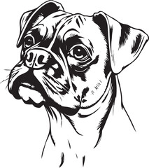 Boxer puppy. Hand drawn vector illustration