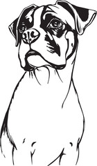 Boxer puppy. Hand drawn vector illustration