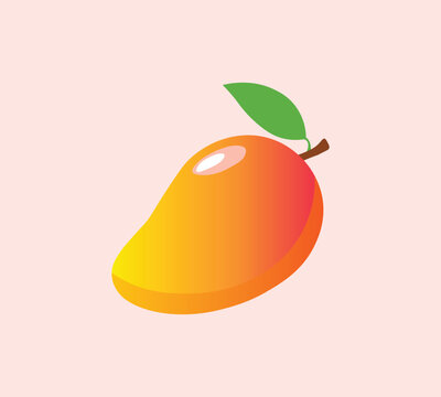 colorful mango fruit vector illustration