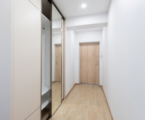 Modern Home ntryway with Wooden Door and Mirrored Closet in Minimalistic Apartment Interior