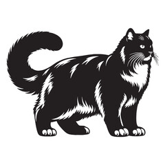 Graceful Snowshoe silhouette, capturing the breed’s elegant body and unique features - Snowshoe illustration - Snowshoe vector - cat silhouette

