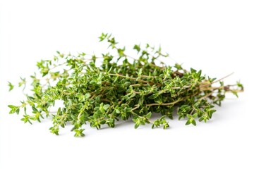 A handful of fresh thyme sprigs with tiny green leaves, isolated on a transparent background.