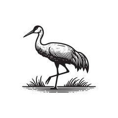 Fototapeta premium Simple Sandhill Crane Side View Vector Icon – Vintage Logo & Retro Illustration