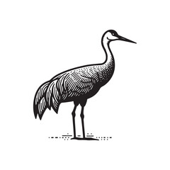 Fototapeta premium Simple Sandhill Crane Side View Vector Icon – Vintage Logo & Retro Illustration