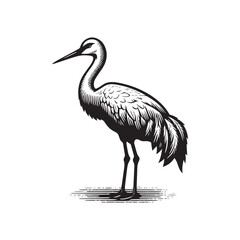 Obraz premium Simple Sandhill Crane Side View Vector Icon – Vintage Logo & Retro Illustration