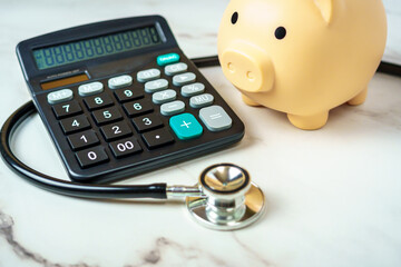 Piggy Bank and Calculator on a Medical Stethoscope: Conceptualizing Healthcare Costs
