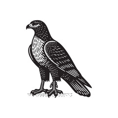Fototapeta premium Simple Red-tailed Hawk Side View Vector Icon – Vintage Logo & Retro Illustration