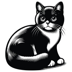 vector illustration of a cat