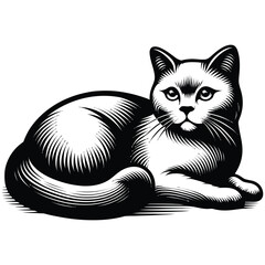 black and white cat vector