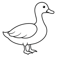 Vector illustration of a duck