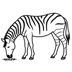 Line art Zebra vector illustration