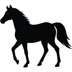 Black horse vector illustration