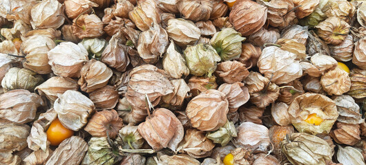 A pie of fresh cape gooseberry open sell in Indian market.