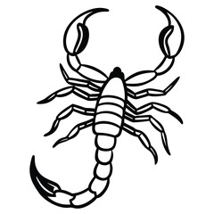 vector illustration of a scorpion