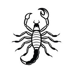 Vector scorpion art, a dangerous silhouette with poisonous sting