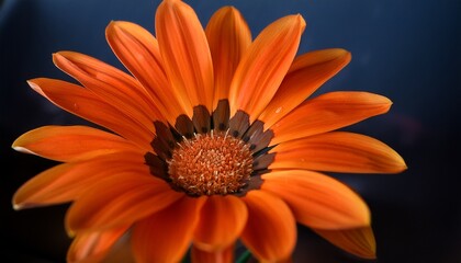soft petals of a beautiful orange flower the flower is in full bloom and has a delicate yet vibrant appearance