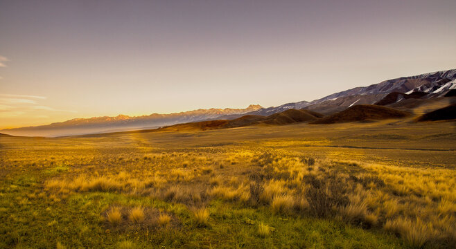 "Paisaje del Paso Las Carreras, Tupungato, Argentina. Extensa pradera de pastos amarillos bajo la c&aacute;lida luz del atardecer, con imponentes monta&ntilde;as en el horizonte. Escena natural serena y majestuosa.