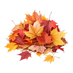 Fototapeta premium Pile of colorful autumn leaves isolated on transparent background available as PNG or PSD