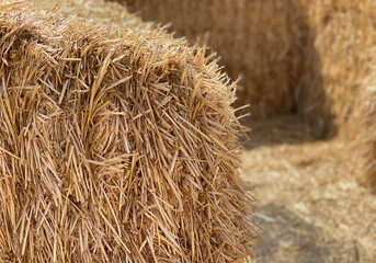 Close-up of a tightly packed straw or hay bale, highlighting the texture of the dry, golden stalks