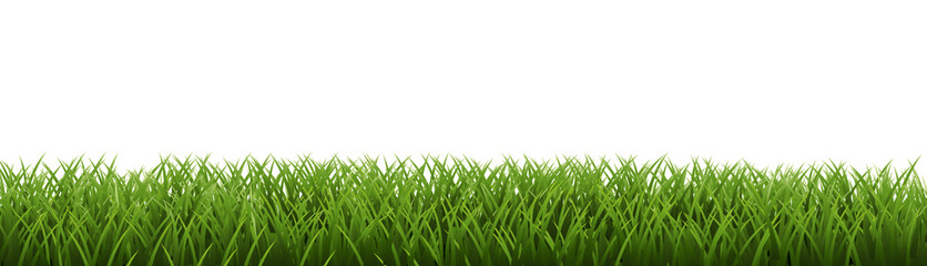 Obraz premium Green Grass Border Isoalated White Background