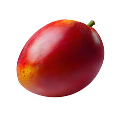 Close up shot of a single red mango fruit against a black background view