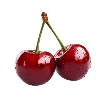 Two red cherries with stems attached on a black background close up view